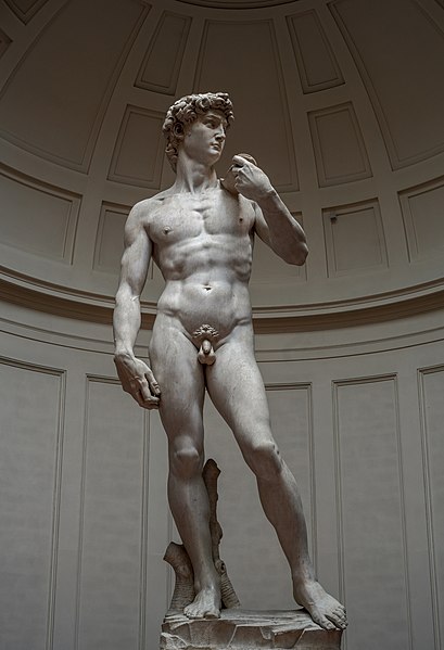 Michaelangelo, David, Original in der Galleria dell' Accademia, Florenz © wikimedia commons (CC BY-SA 4.0)